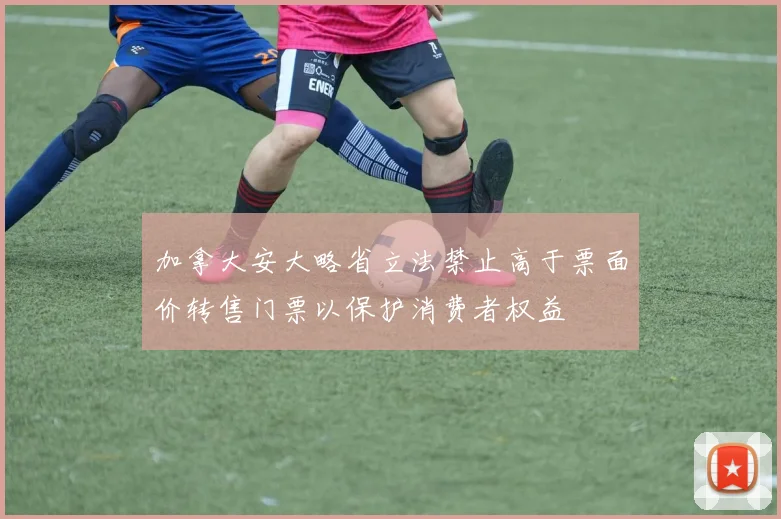 加拿大安大略省立法禁止高于票面价转售门票以保护消费者权益