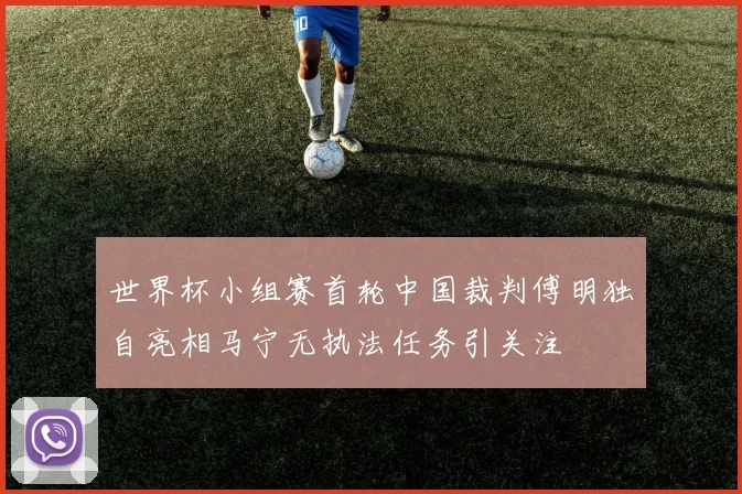 世界杯小组赛首轮中国裁判傅明独自亮相马宁无执法任务引关注