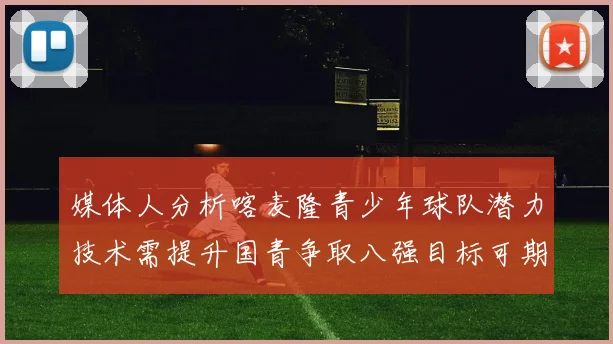 媒体人分析喀麦隆青少年球队潜力技术需提升国青争取八强目标可期